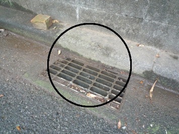 清掃された集水桝の画像